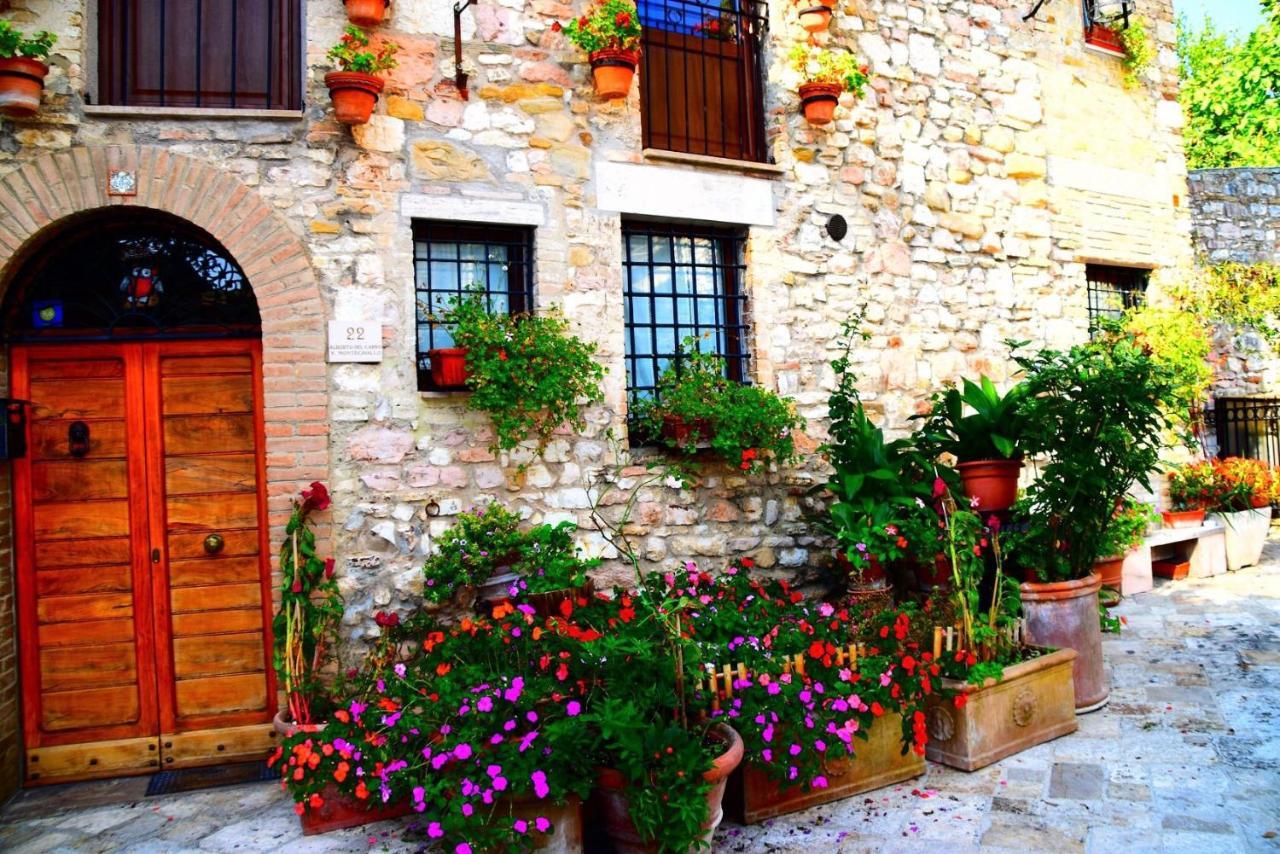Apartments Aurora Delle Rose Asyż Zewnętrze zdjęcie