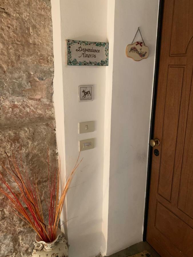 Apartments Aurora Delle Rose Asyż Zewnętrze zdjęcie
